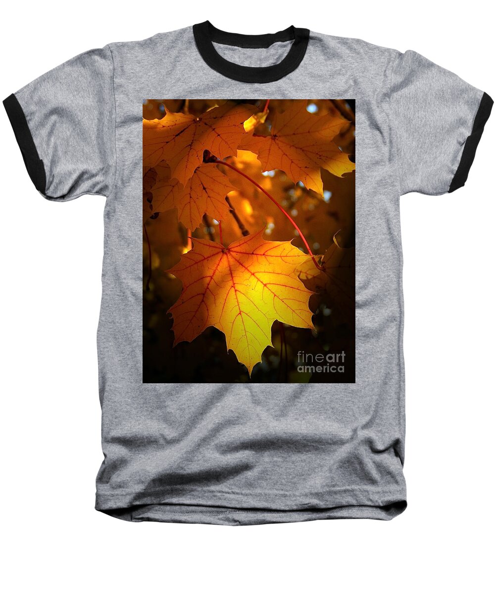 Color Photography Baseball T-Shirt featuring the photograph Maple At First Light by Sue Stefanowicz
