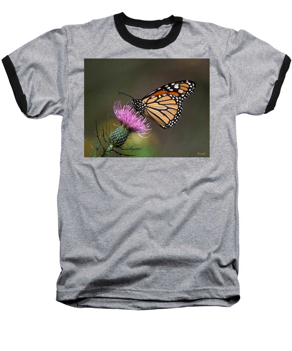 Nature Baseball T-Shirt featuring the photograph Monarch Butterfly on Thistle 13A by Gerry Gantt
