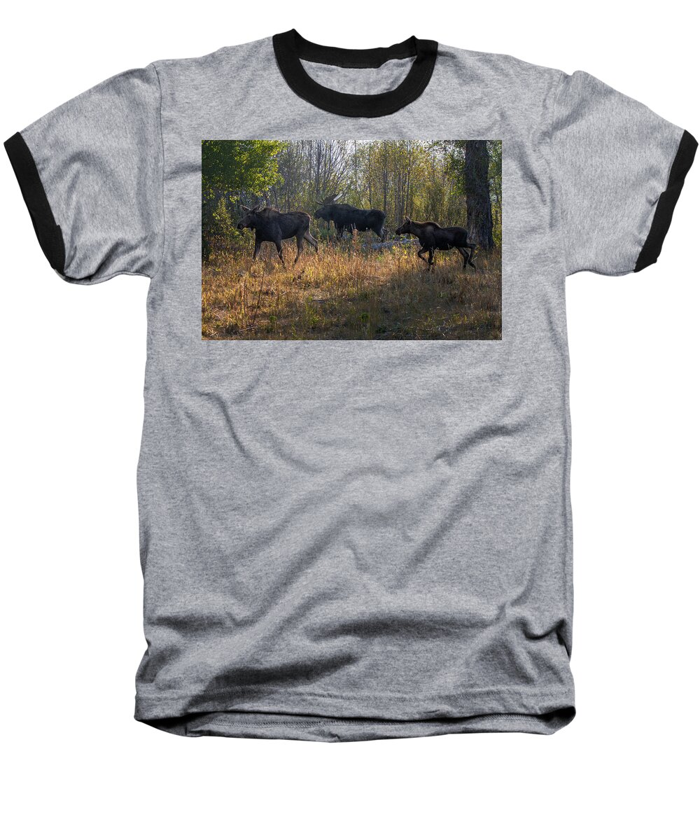 2012 Baseball T-Shirt featuring the photograph Moose Family by Ronald Lutz