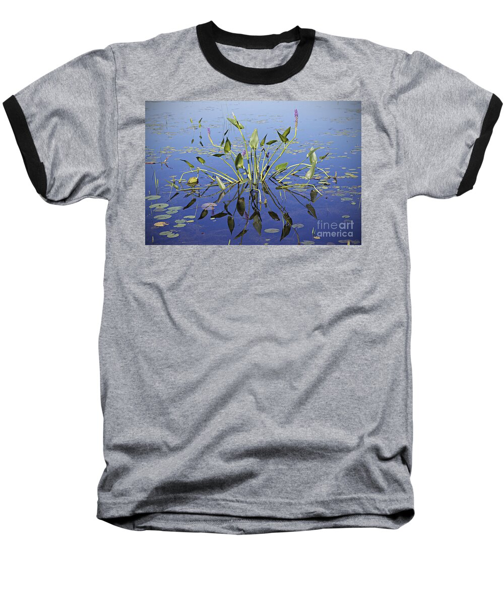 Lily Baseball T-Shirt featuring the photograph Morning reflection by Eunice Gibb