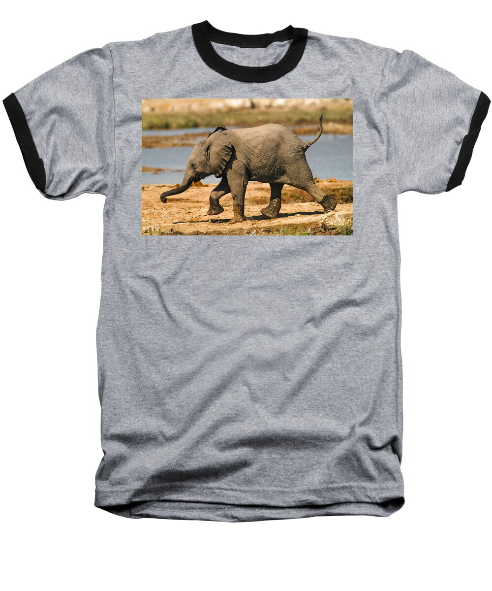 A Baby Elephants Play Baseball T-Shirt featuring the photograph On the move by Alistair Lyne