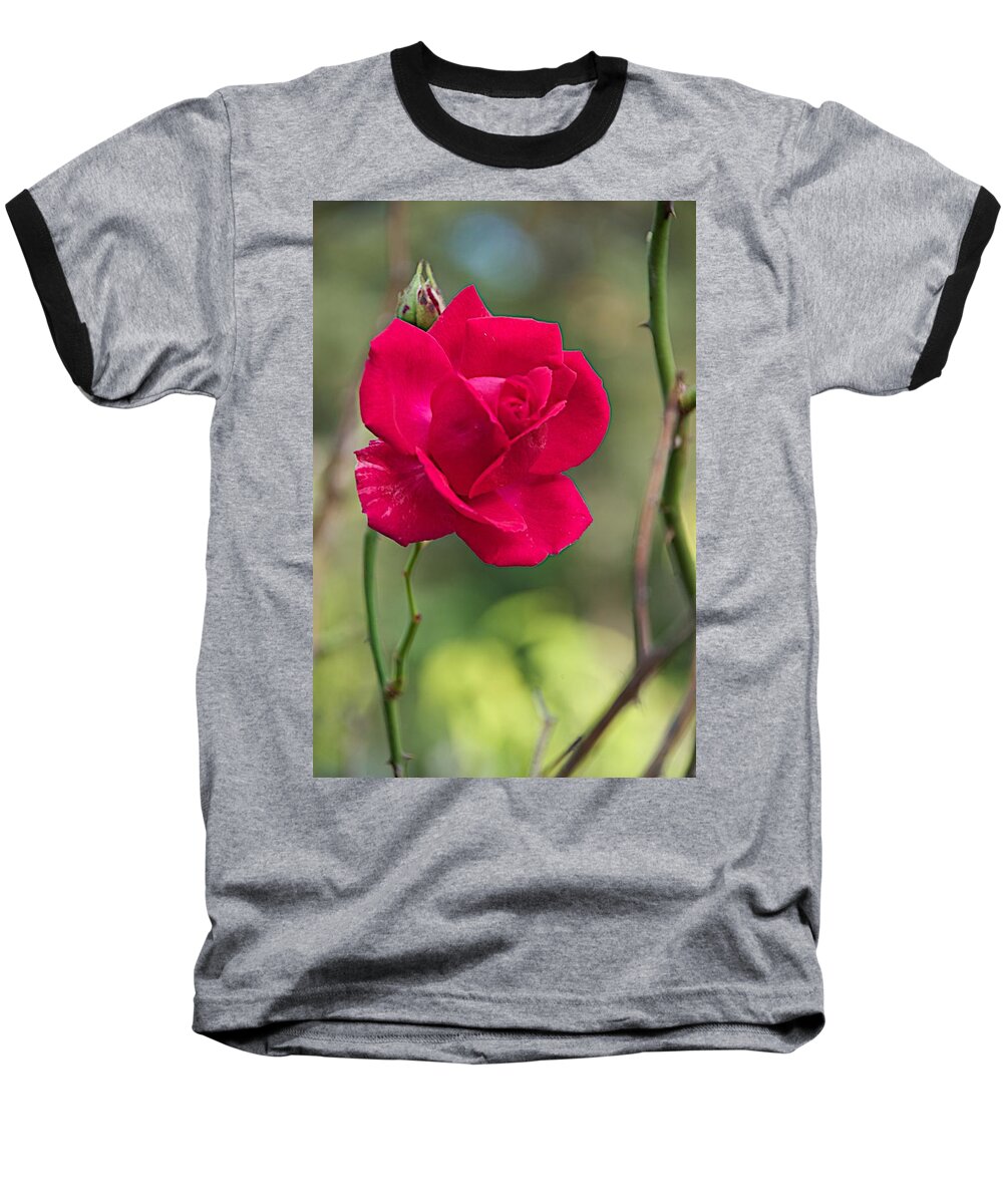 Flower Baseball T-Shirt featuring the photograph One Rose by Joseph Yarbrough