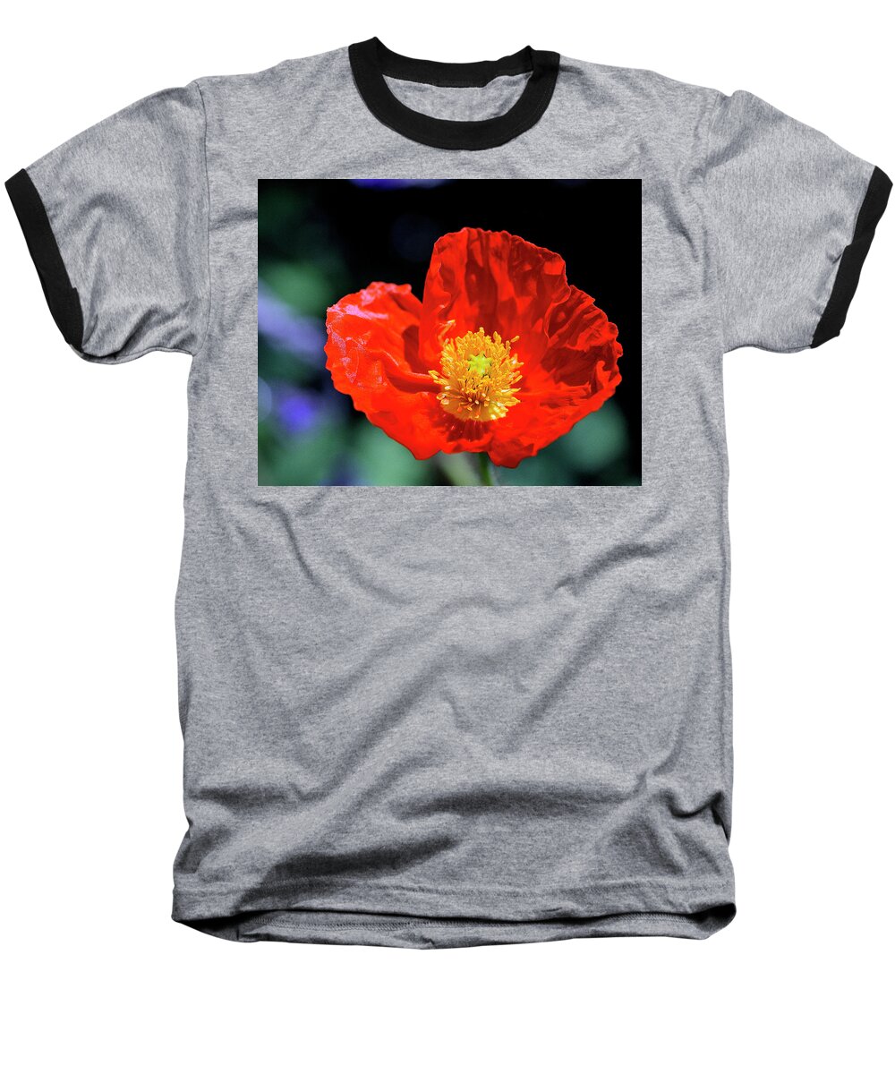 Flower Baseball T-Shirt featuring the photograph Orange Poppy by Bill Dodsworth