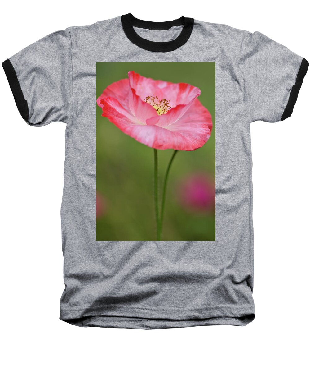 Flower Baseball T-Shirt featuring the photograph Petals by Greg Nyquist