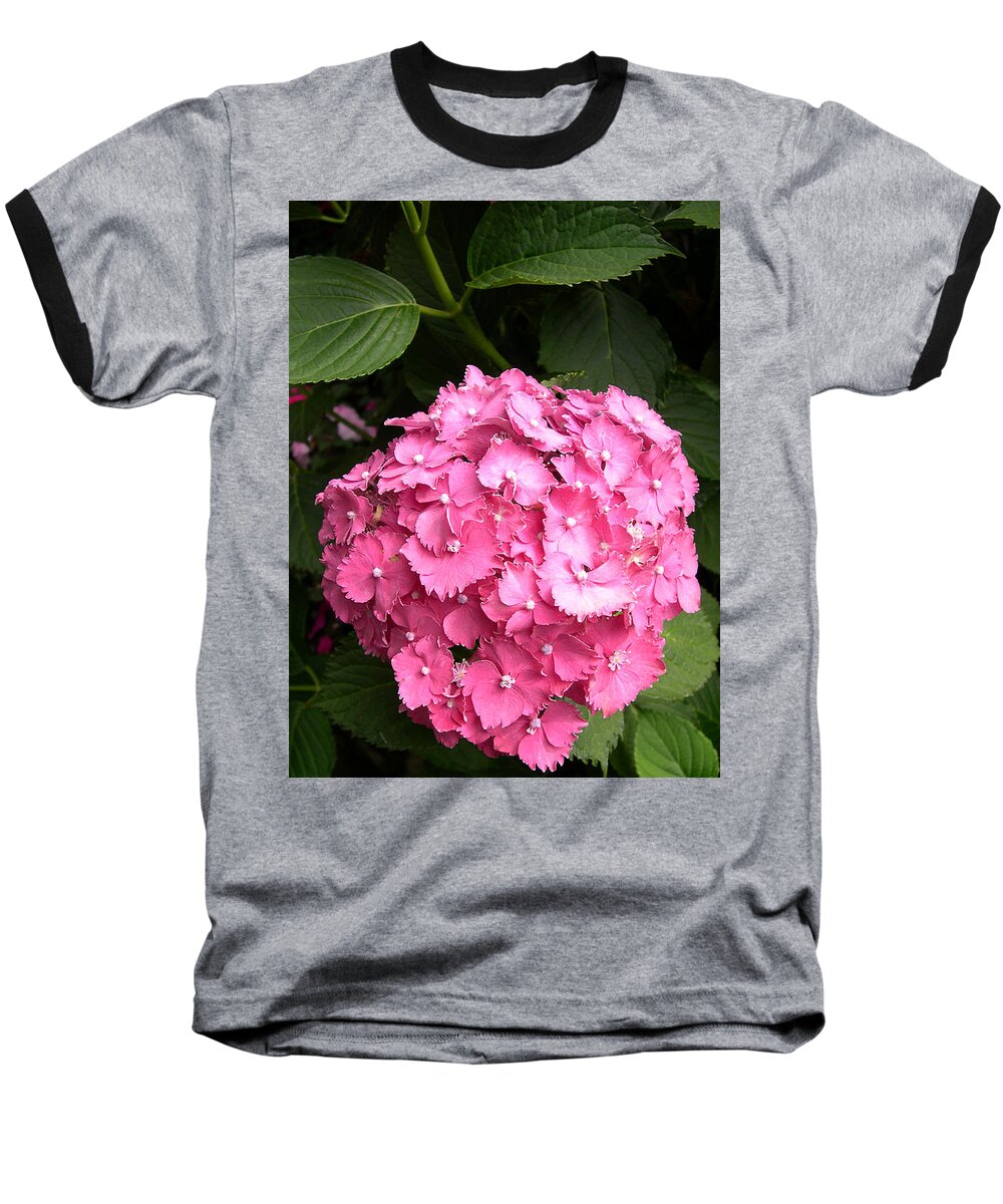Pink Hydranga Baseball T-Shirt featuring the digital art Pink hydranga by Claude McCoy