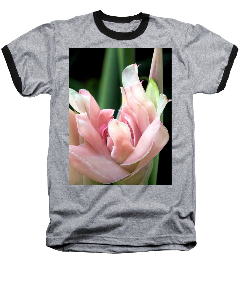 Torch Ginger Baseball T-Shirt featuring the photograph Pink Torch Ginger by Jocelyn Kahawai