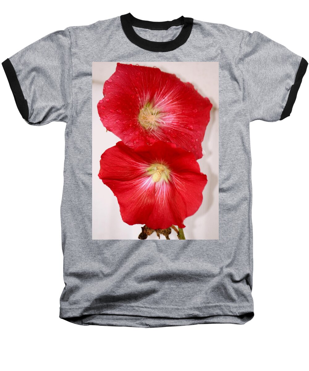 Red Hollyhocks Baseball T-Shirt featuring the photograph Red Hollyhocks by Donna Walsh