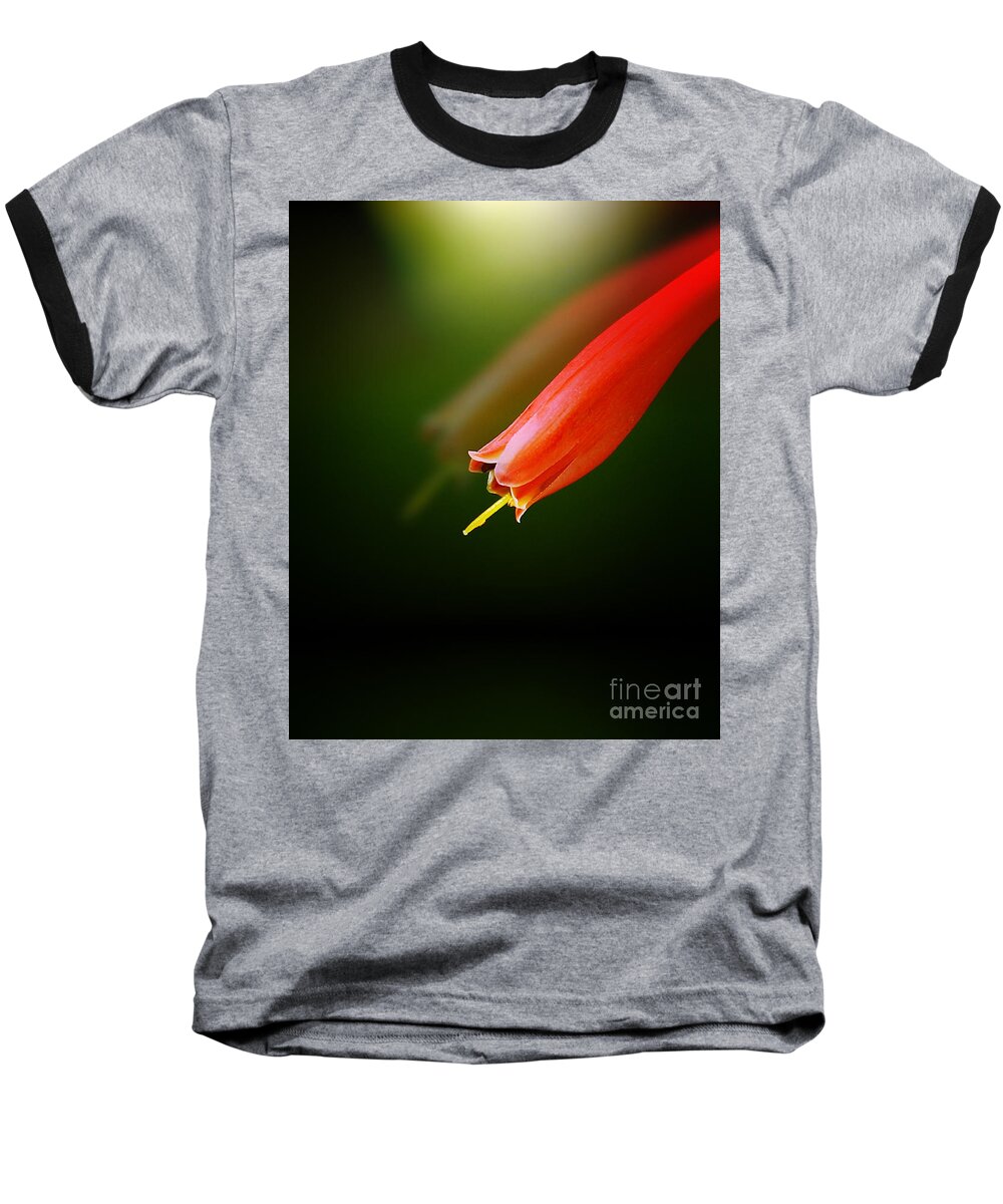 Red Baseball T-Shirt featuring the photograph Reflection by Judi Bagwell