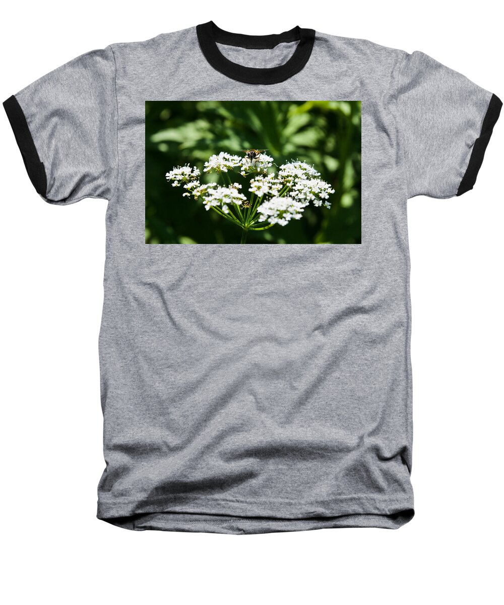 Closeup Baseball T-Shirt featuring the photograph Refractions by Michael Goyberg