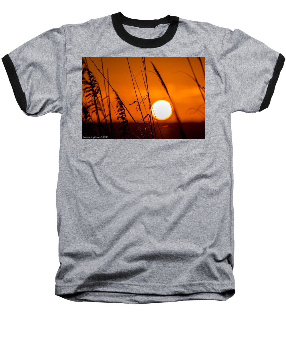 Relaxing Baseball T-Shirt featuring the photograph Relaxed by Shannon Harrington