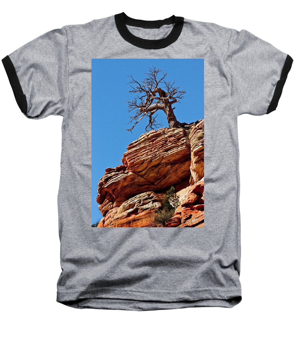 Tree Baseball T-Shirt featuring the photograph Remnants Of A Struggle by Christopher Holmes