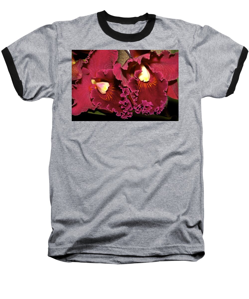 Orchids Baseball T-Shirt featuring the photograph Rich Burgundy Orchids by Phyllis Denton