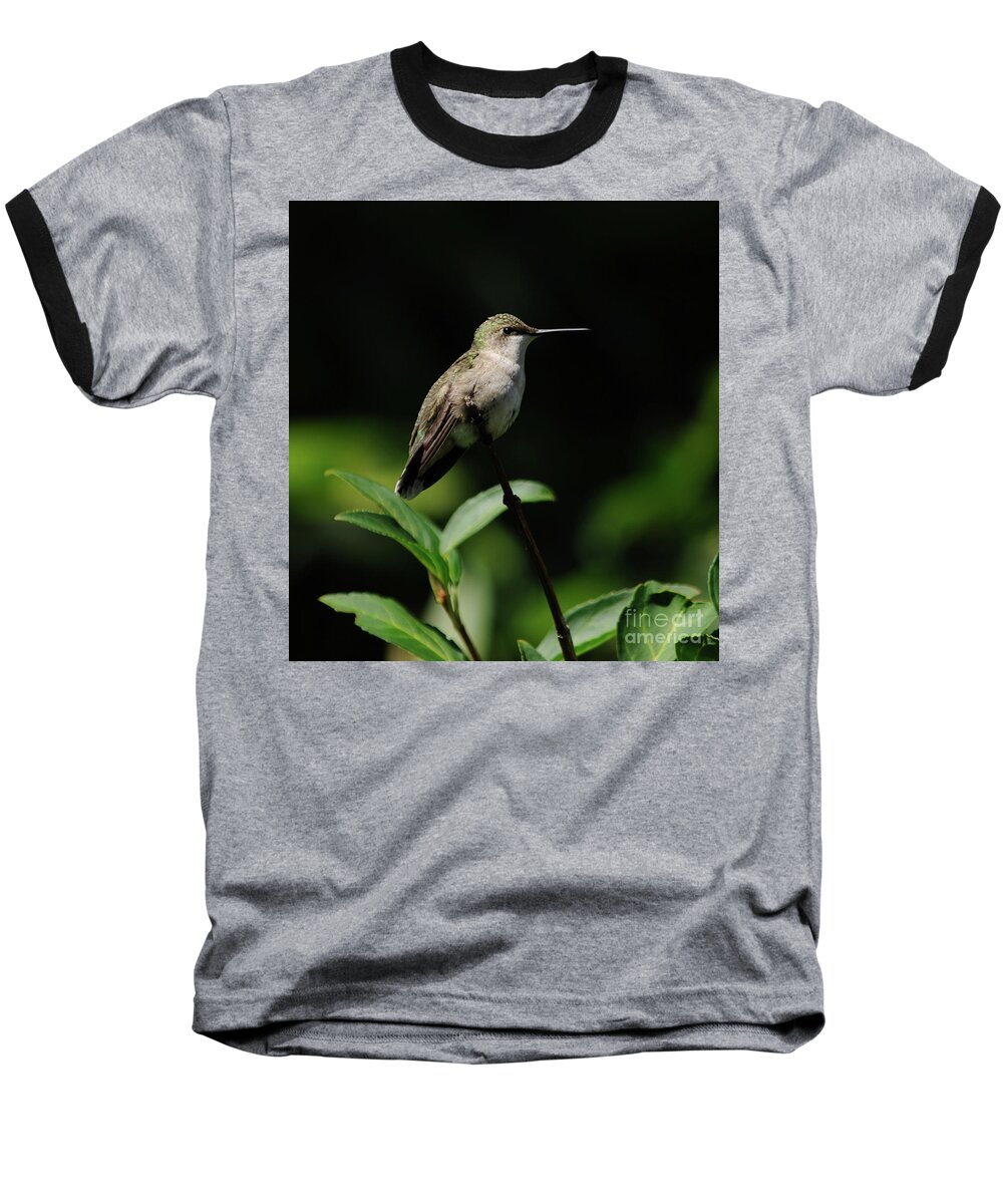 Green Baseball T-Shirt featuring the photograph Ruby-Throated Hummingbird Female by Ronald Grogan