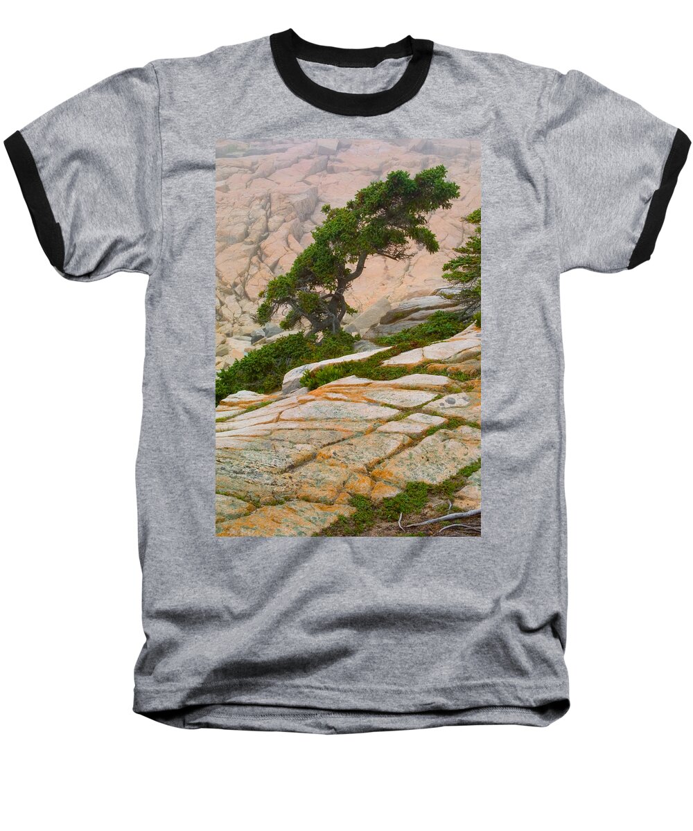 Pitch Pine Baseball T-Shirt featuring the photograph Schoodic cliffs by Brent L Ander