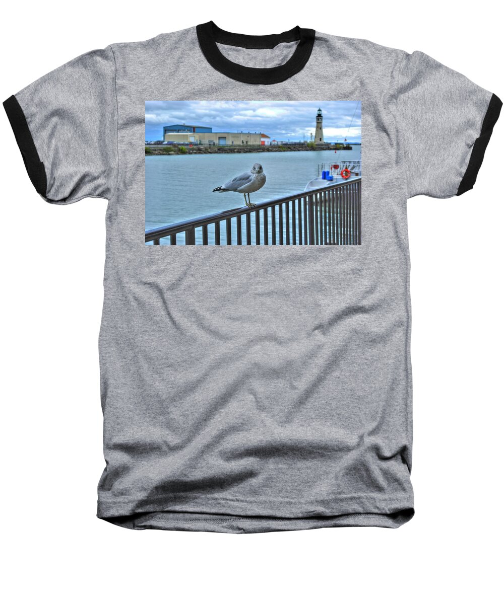  Baseball T-Shirt featuring the photograph Seagull at Lighthouse by Michael Frank Jr