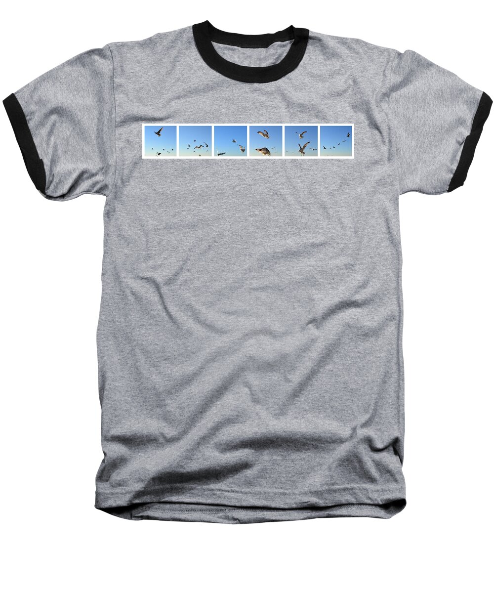 Seagull Baseball T-Shirt featuring the photograph Seagull Collage by Michelle Calkins