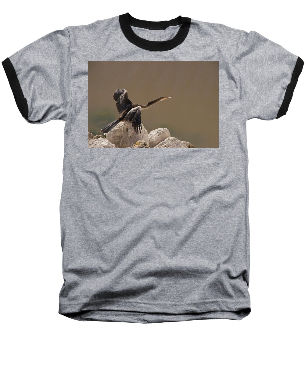 Anhinga Baseball T-Shirt featuring the photograph Seen Gone by Joseph Yarbrough
