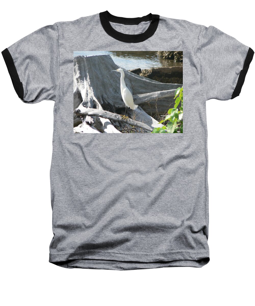 Snowy Baseball T-Shirt featuring the photograph Snowy Egret by Laurel Best