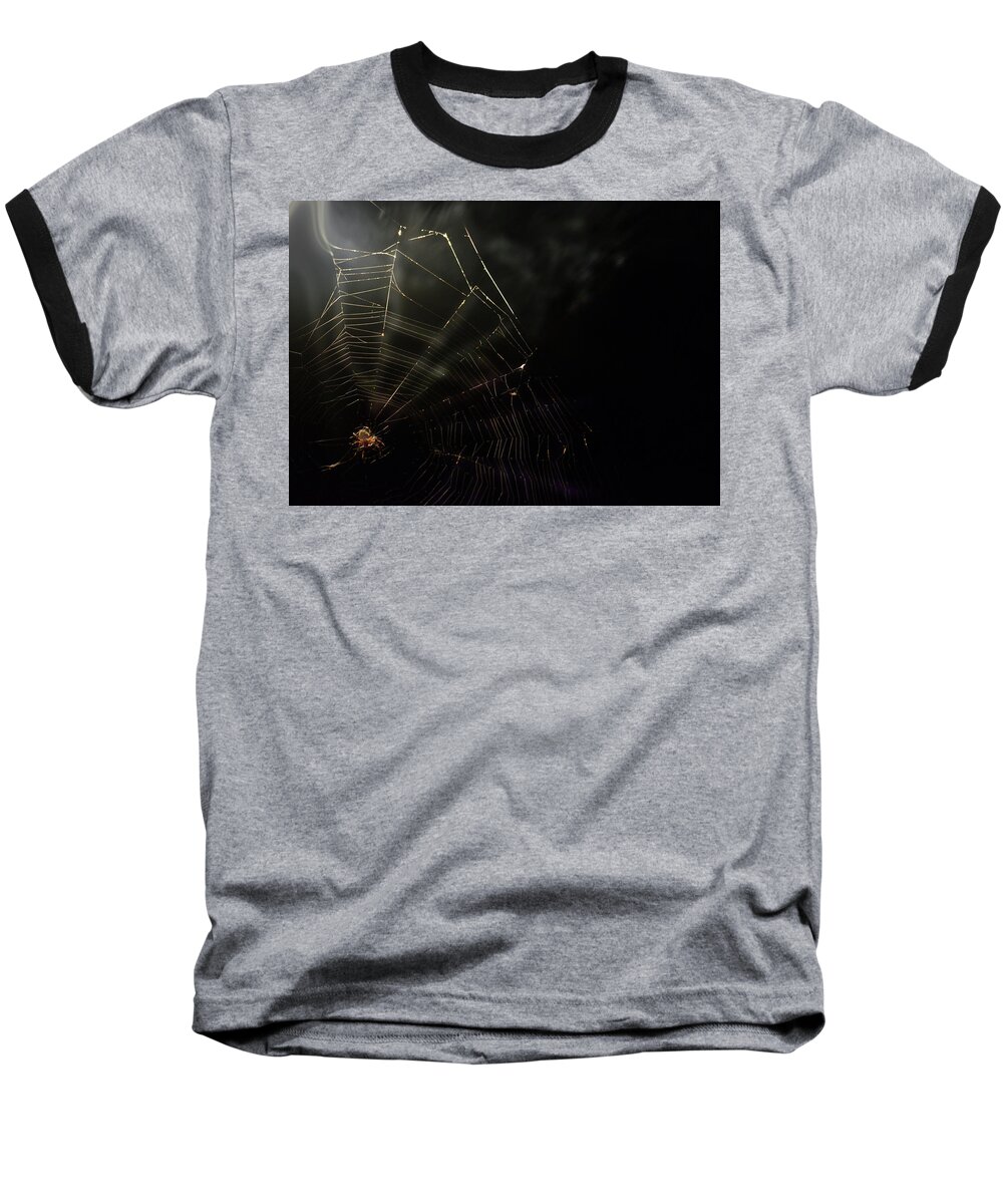 Spider Baseball T-Shirt featuring the photograph Spider by La Dolce Vita