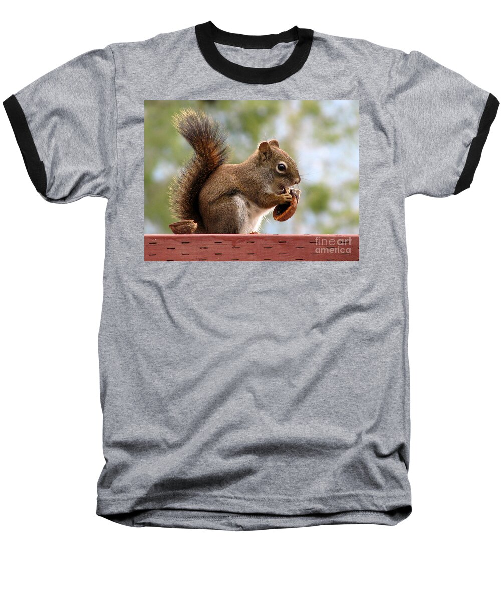 Squirrel Baseball T-Shirt featuring the photograph Squirrel and His Walnut by Leone Lund