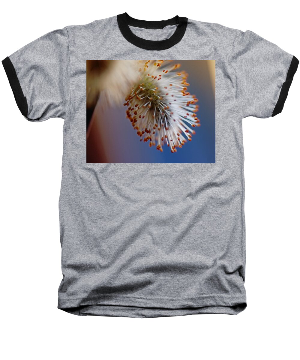 Pussy Willow Baseball T-Shirt featuring the photograph Starburst by Sue Capuano