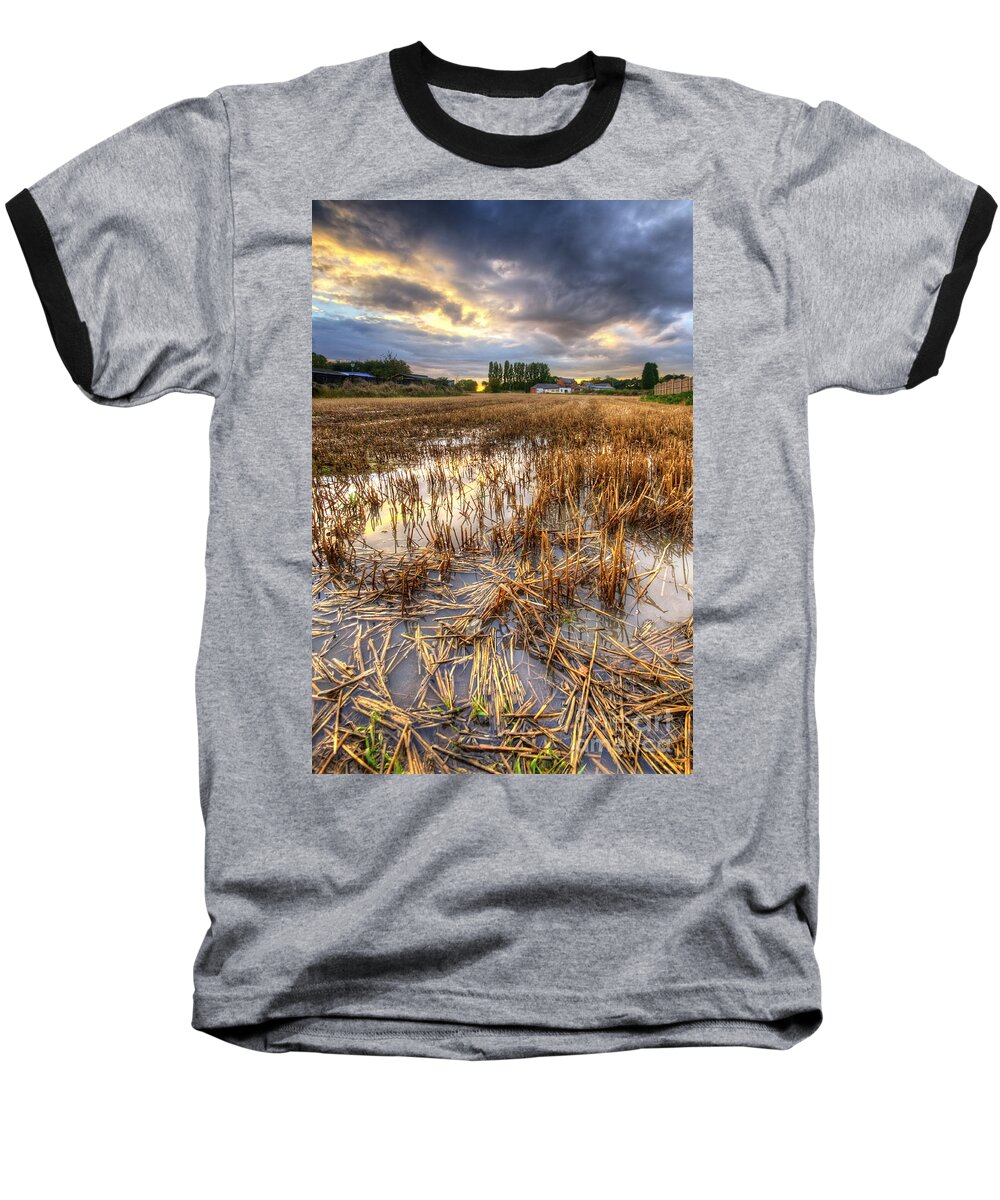 Yhun Suarez Baseball T-Shirt featuring the photograph Straws And Sunset by Yhun Suarez