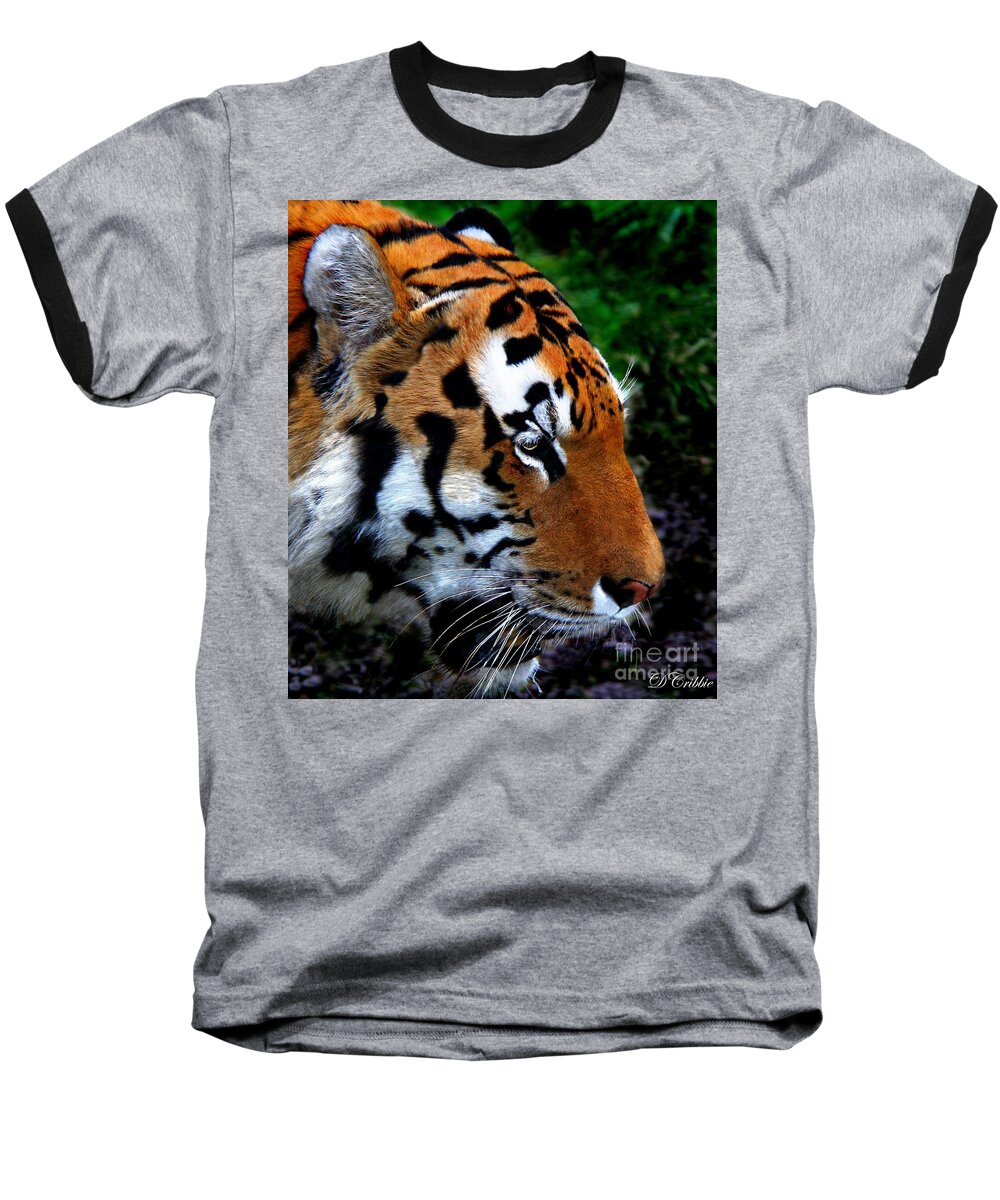 Tiger Baseball T-Shirt featuring the photograph Sumatran Strength by Davandra Cribbie