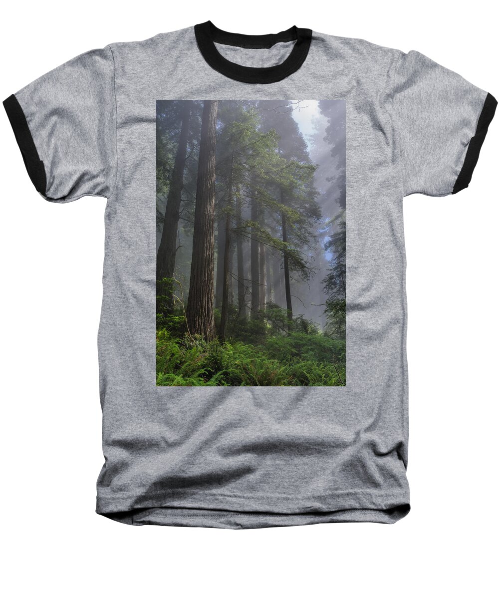 Redwoods Baseball T-Shirt featuring the photograph Sun Breaking on Redwoods by Greg Nyquist