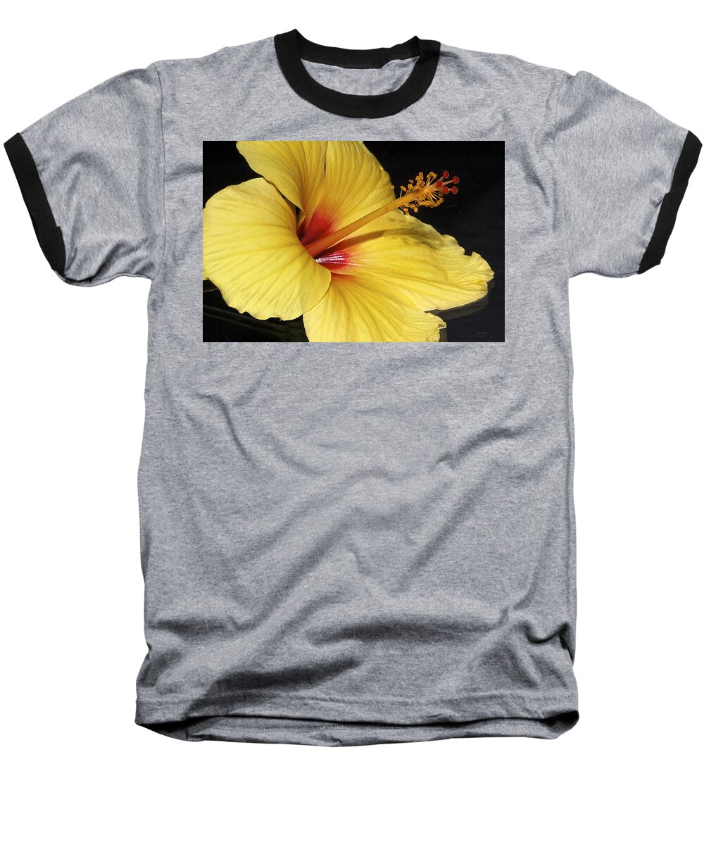 Hibiscus Baseball T-Shirt featuring the photograph Sunny Yellow Hibiscus Flower by Phyllis Denton