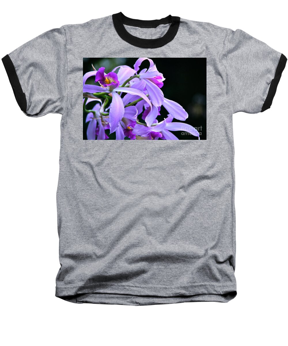 Orchid Baseball T-Shirt featuring the photograph Super Orchid by Byron Varvarigos