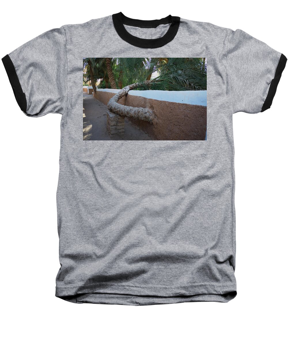 Palm Baseball T-Shirt featuring the photograph Support by Ivan Slosar