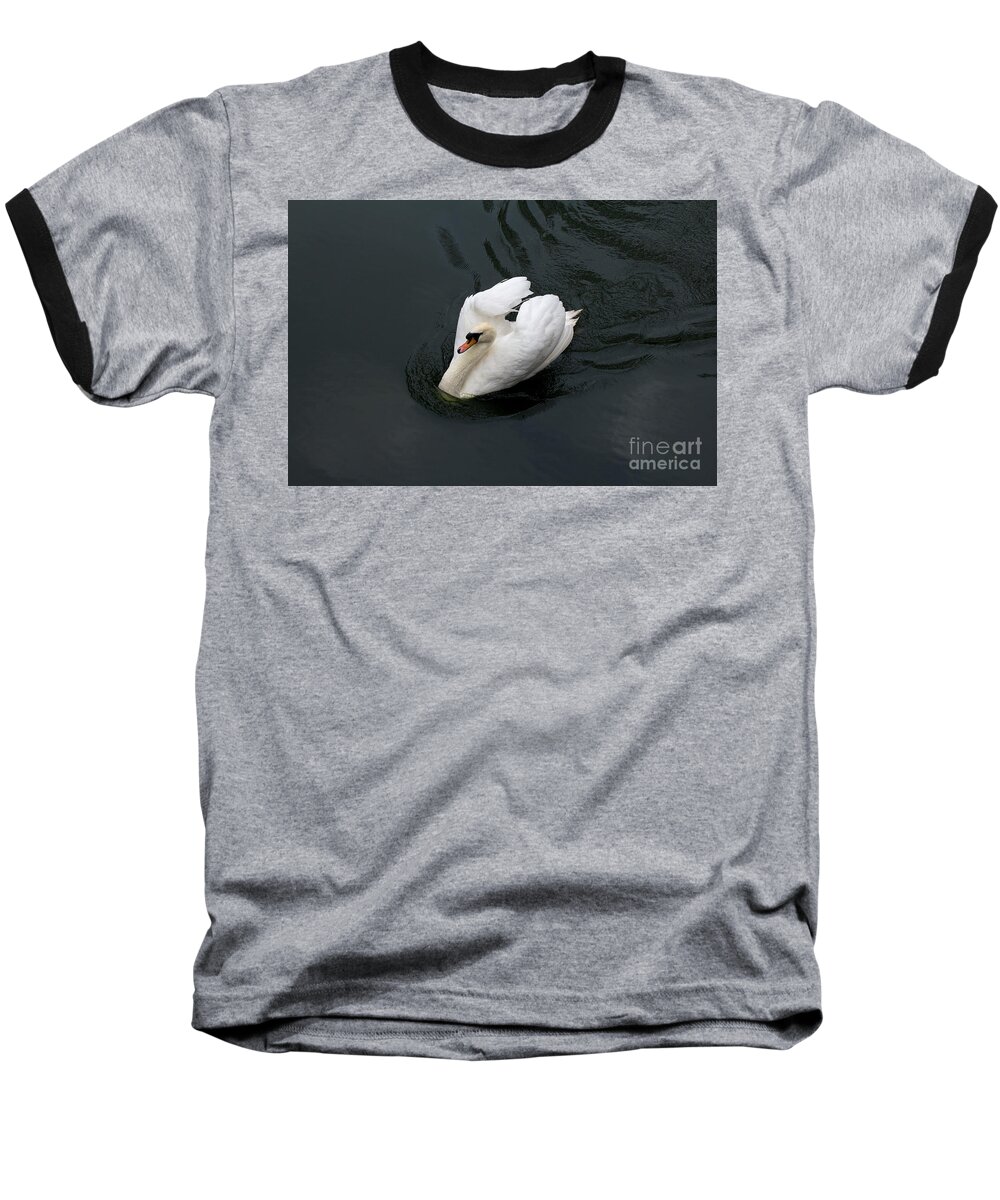 White Baseball T-Shirt featuring the photograph Swan on black water by Les Palenik