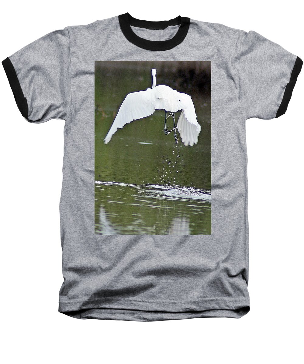 Egret Baseball T-Shirt featuring the photograph Taking Off by Joe Faherty