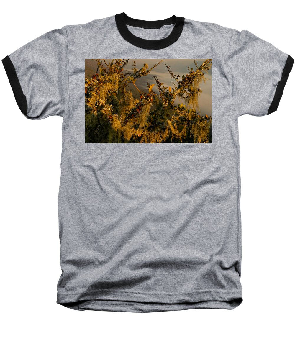 Africa Baseball T-Shirt featuring the photograph Tangled by Alistair Lyne