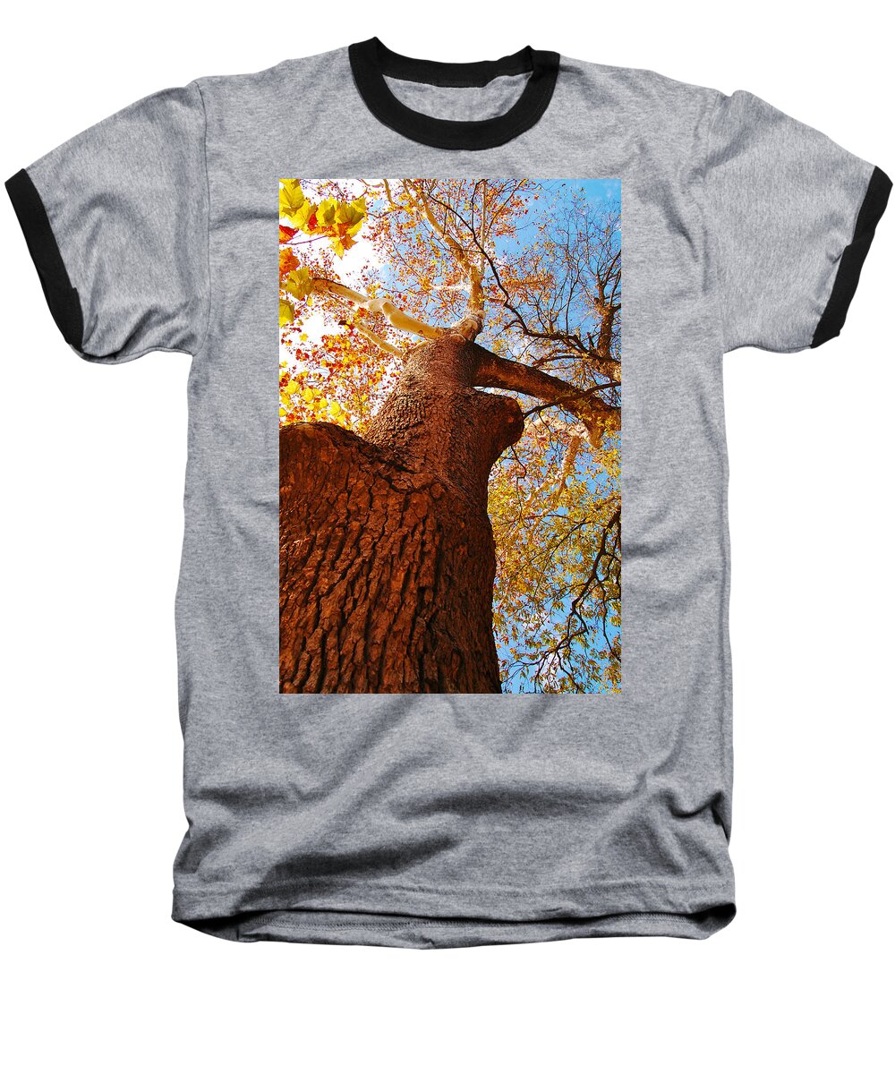 Trees Baseball T-Shirt featuring the photograph The Deer Autumn Leaves Tree by Peggy Franz