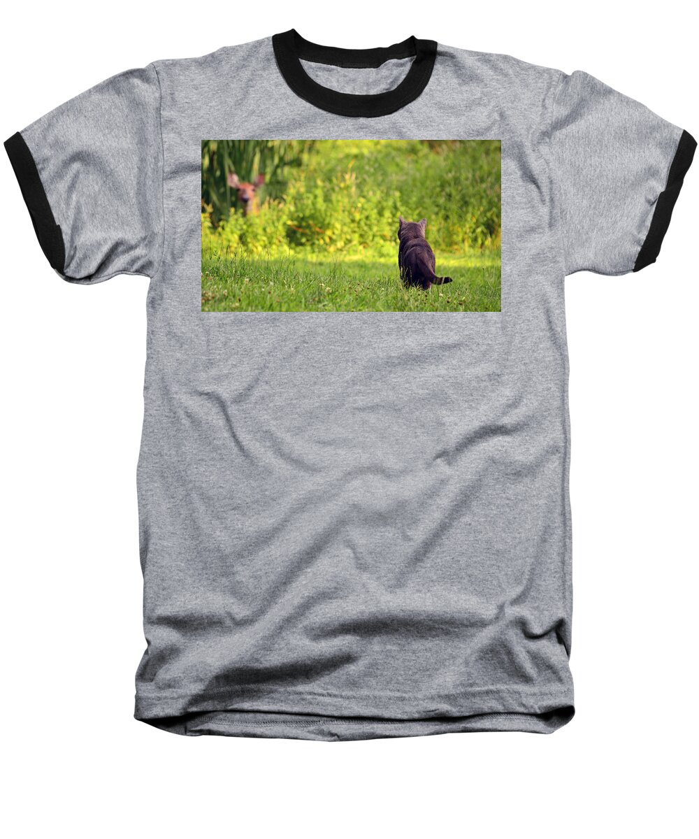 Cat Baseball T-Shirt featuring the photograph The Deer Hunter by Lori Tambakis