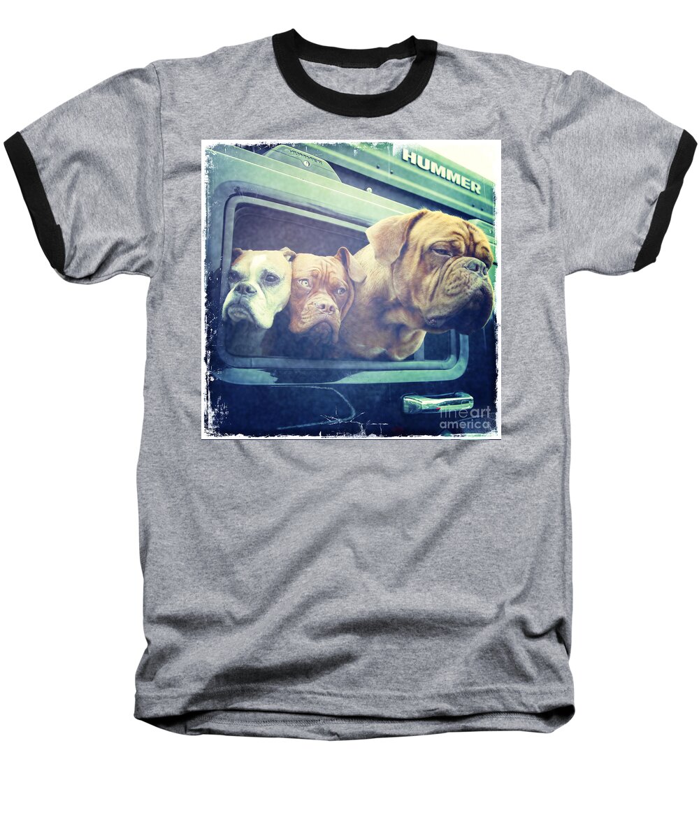 Dog Baseball T-Shirt featuring the photograph The Dog Taxi Is A Hummer by Nina Prommer