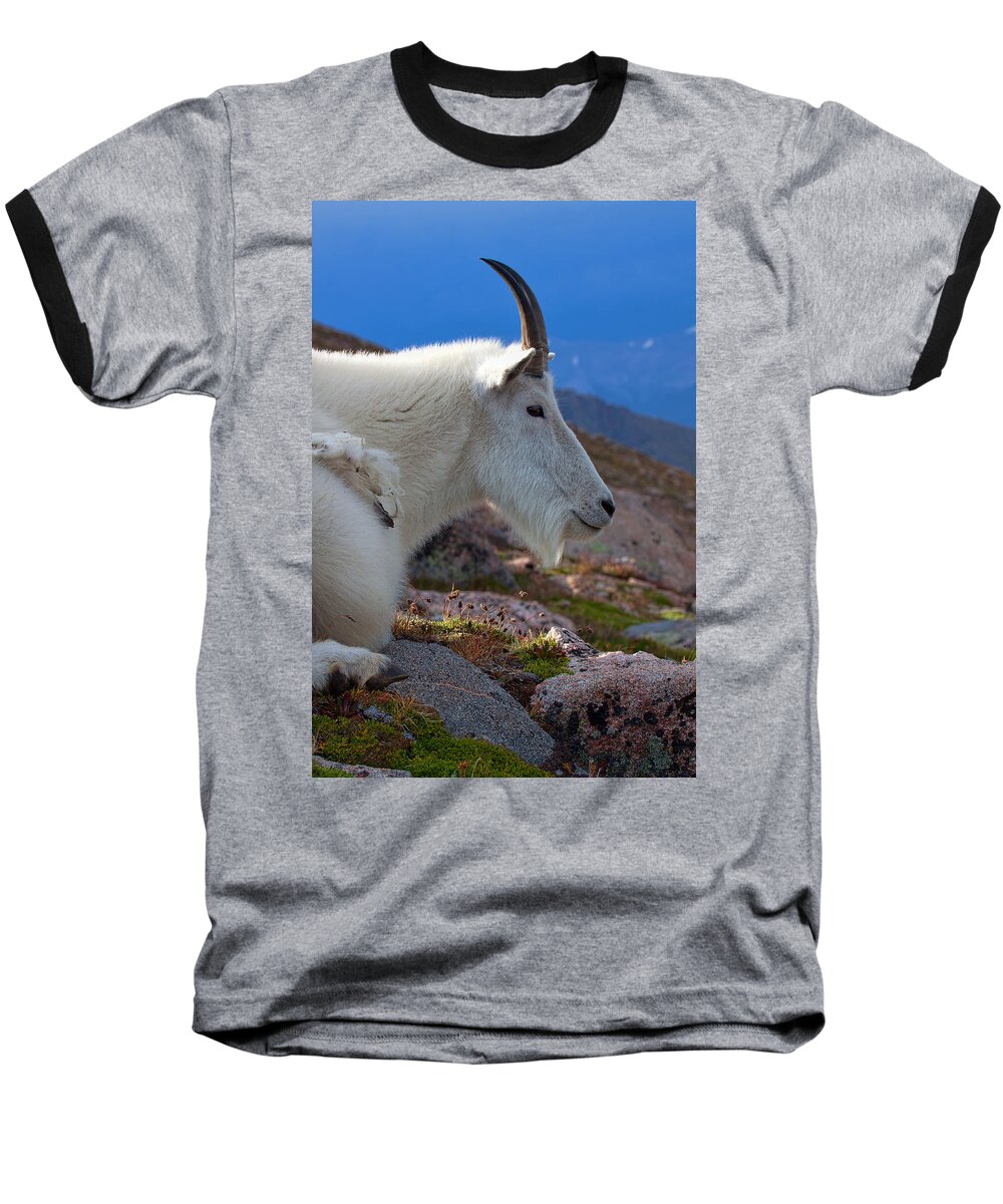 Mountain Goats Baseball T-Shirt featuring the photograph The Gathering Storm by Jim Garrison