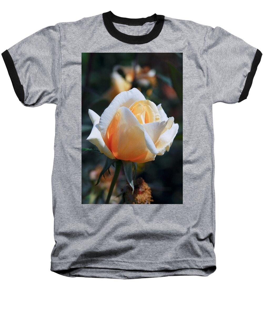 Rose Baseball T-Shirt featuring the photograph The Rose by Fotosas Photography
