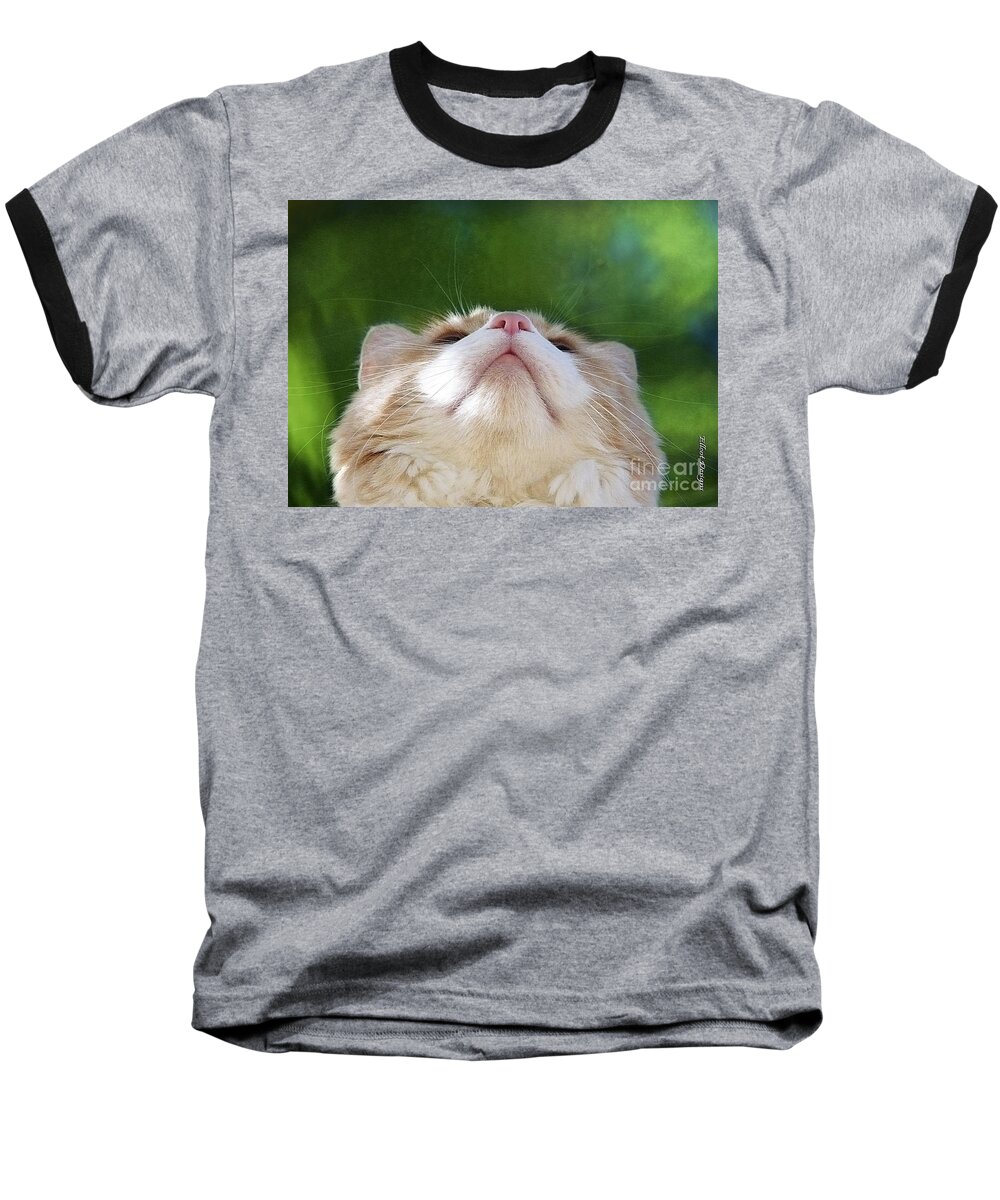 Cat Baseball T-Shirt featuring the photograph The World at my feet by Ellen Cotton