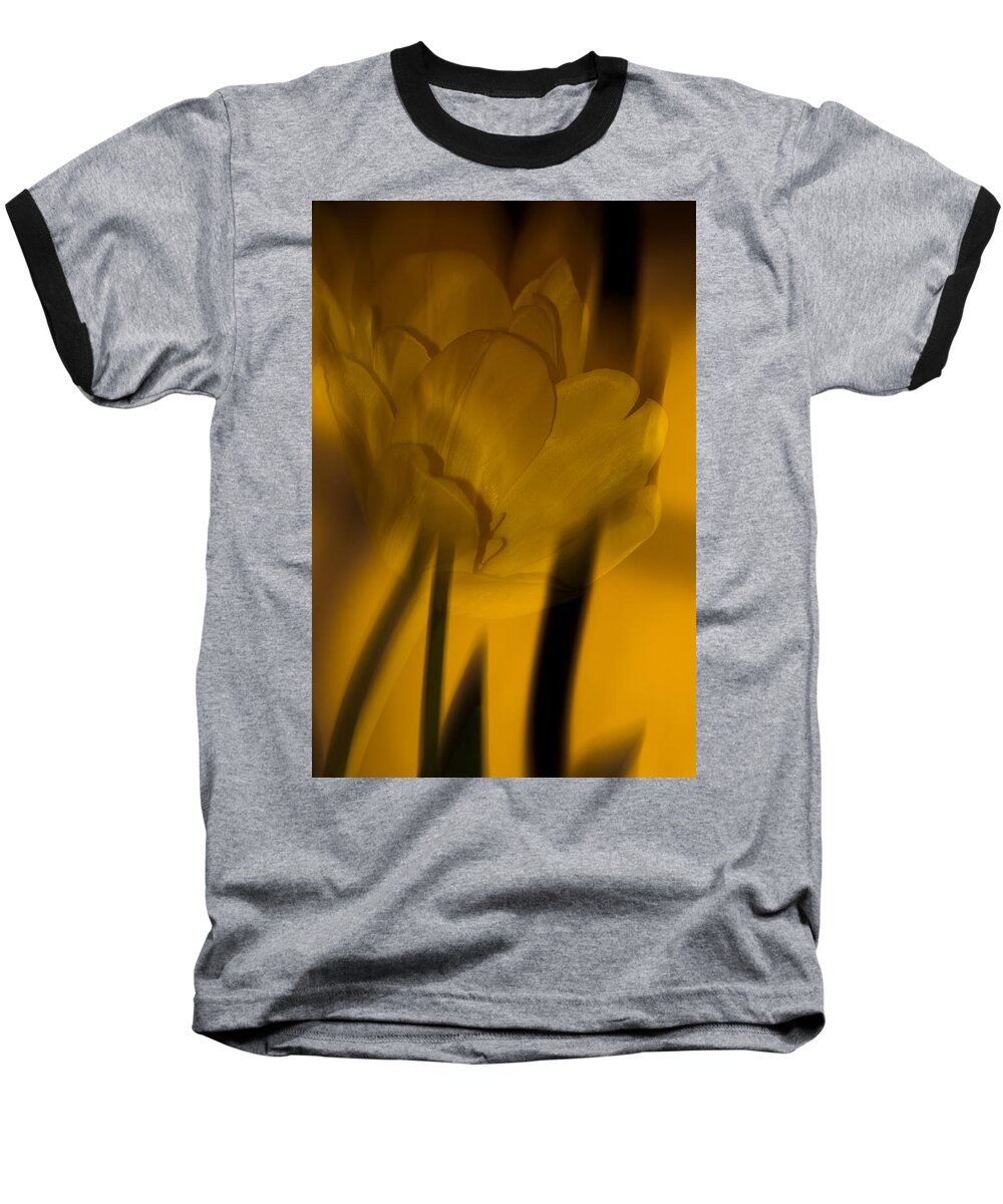 Tulip Baseball T-Shirt featuring the photograph Tulip Abstract by Ed Gleichman