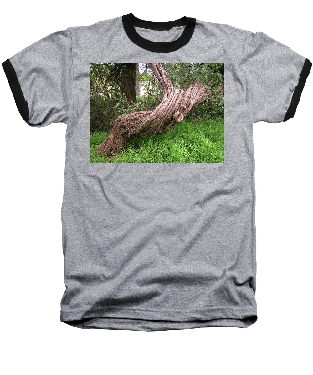 Tree Baseball T-Shirt featuring the photograph Twisted Tree 1123 by Guy Whiteley