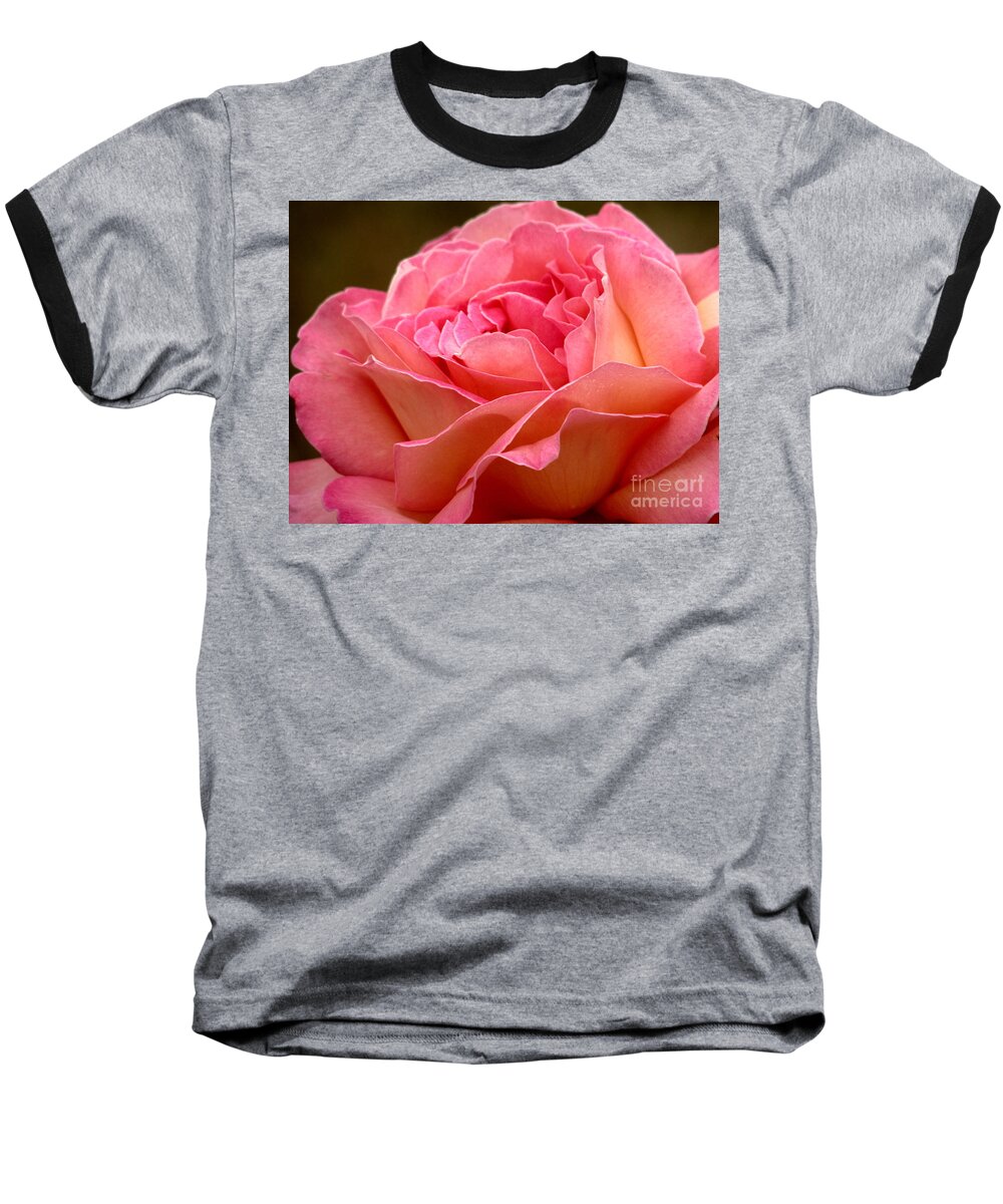 Rose Baseball T-Shirt featuring the photograph Unfolding by Rory Siegel