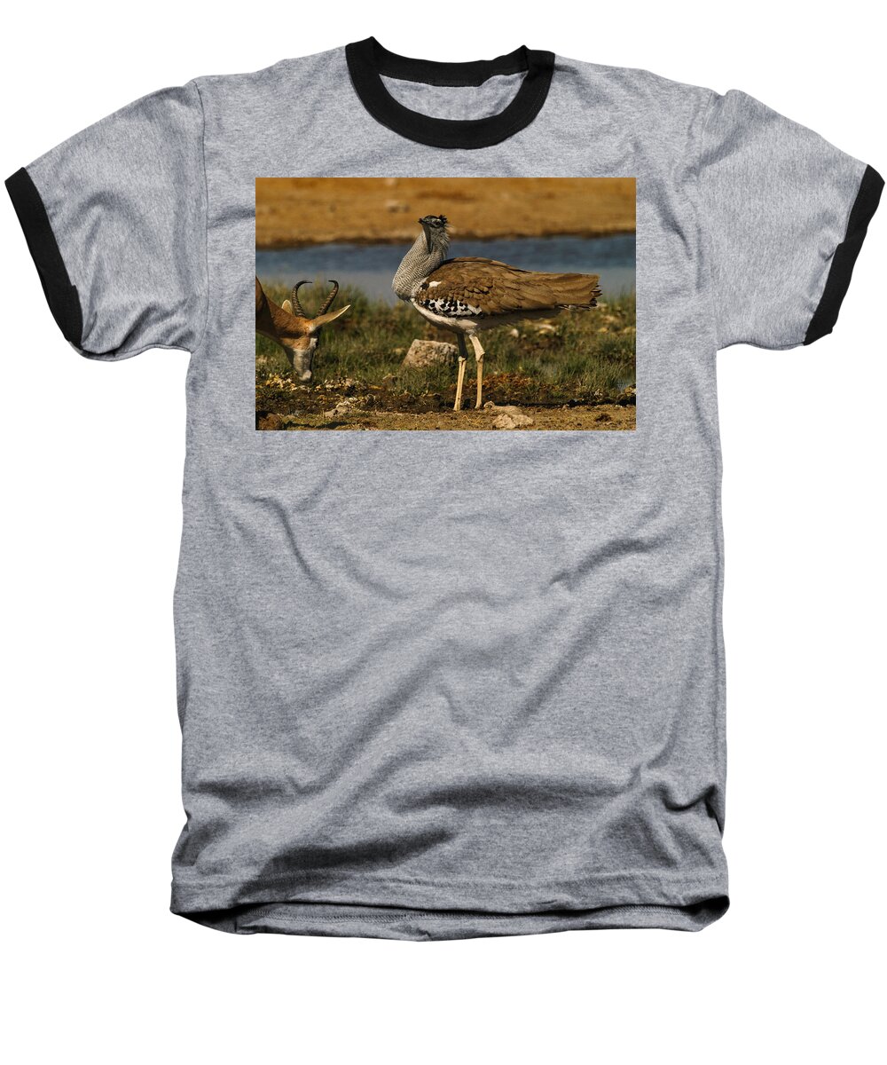 Action Baseball T-Shirt featuring the photograph Watch it by Alistair Lyne