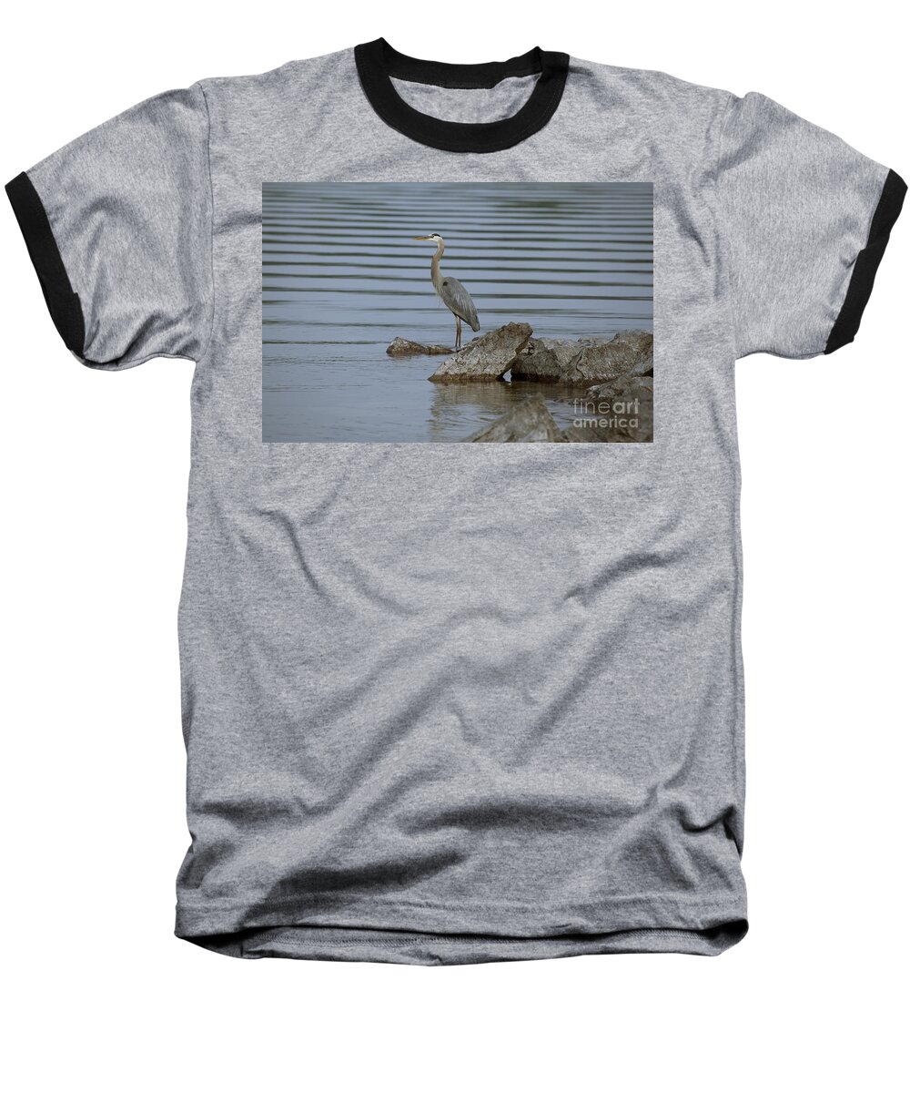 Heron Baseball T-Shirt featuring the photograph Watchful by Eunice Gibb