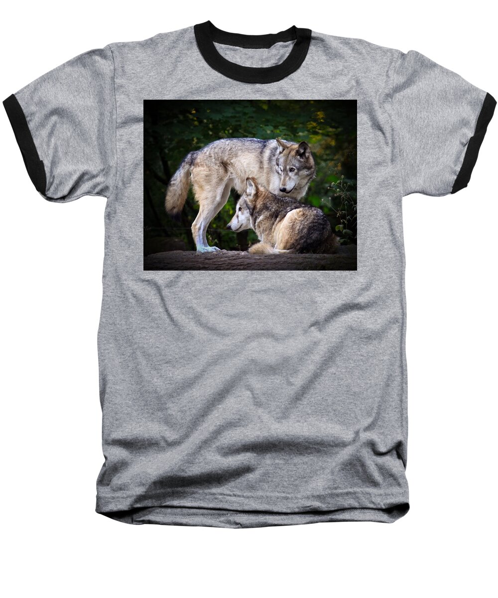 Wolf Art Baseball T-Shirt featuring the photograph Watching Over by Steve McKinzie
