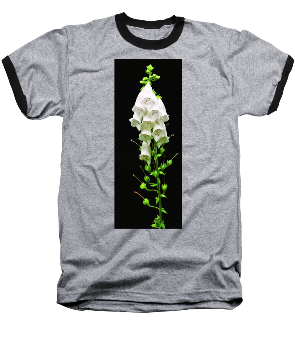 Wildflowers Baseball T-Shirt featuring the photograph White Foxglove by Albert Seger