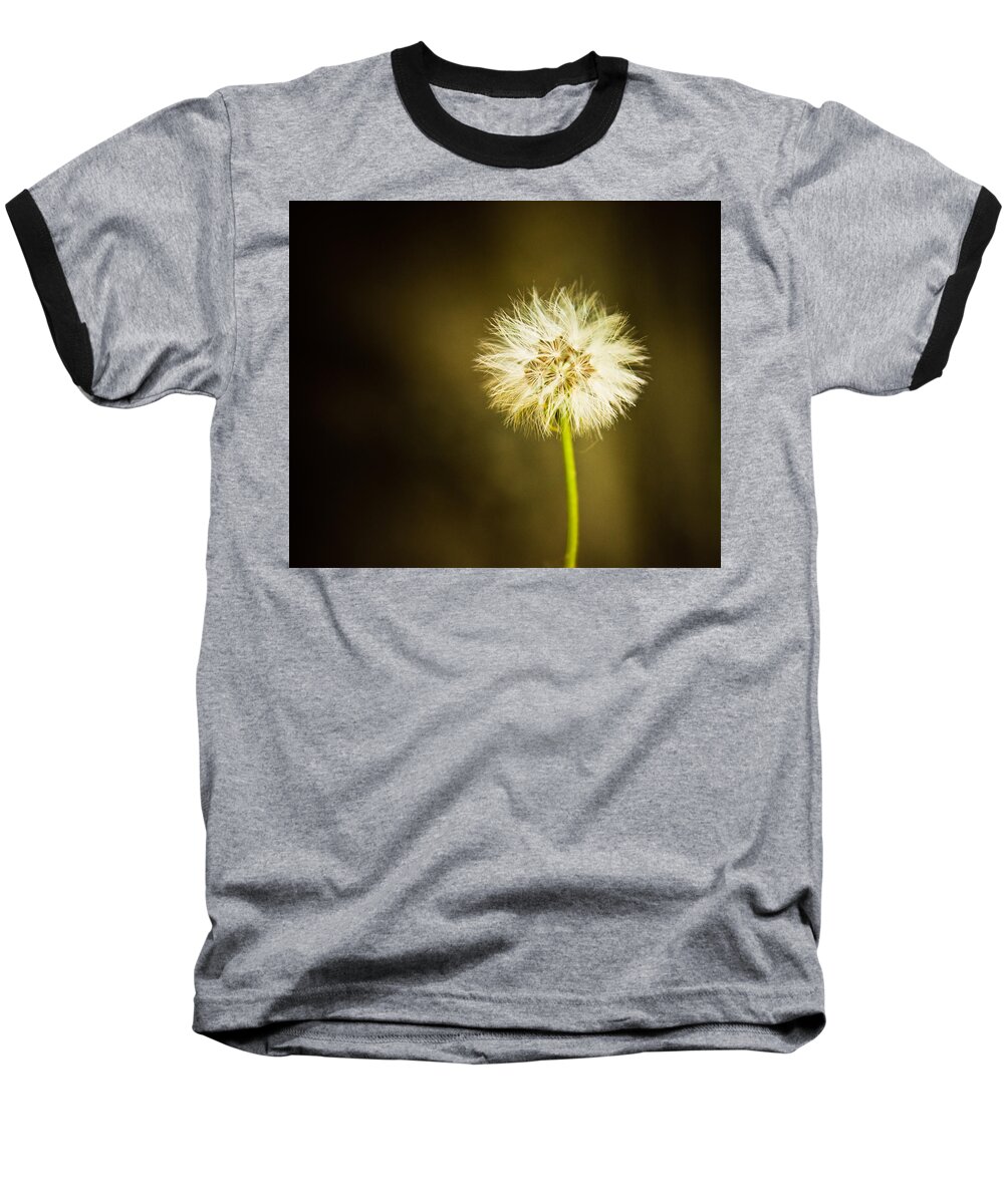 Dandelion Baseball T-Shirt featuring the photograph Wishes by Sara Frank