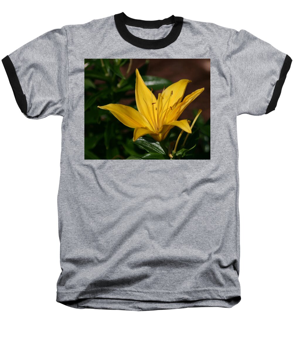 Yellow Baseball T-Shirt featuring the photograph Yellow Lily by Bill Barber