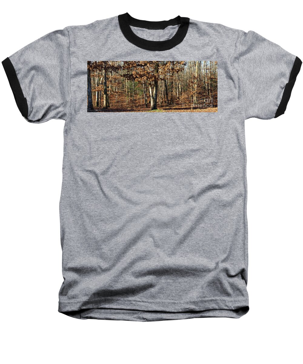 Trees Baseball T-Shirt featuring the photograph You Can Dream by Shari Nees